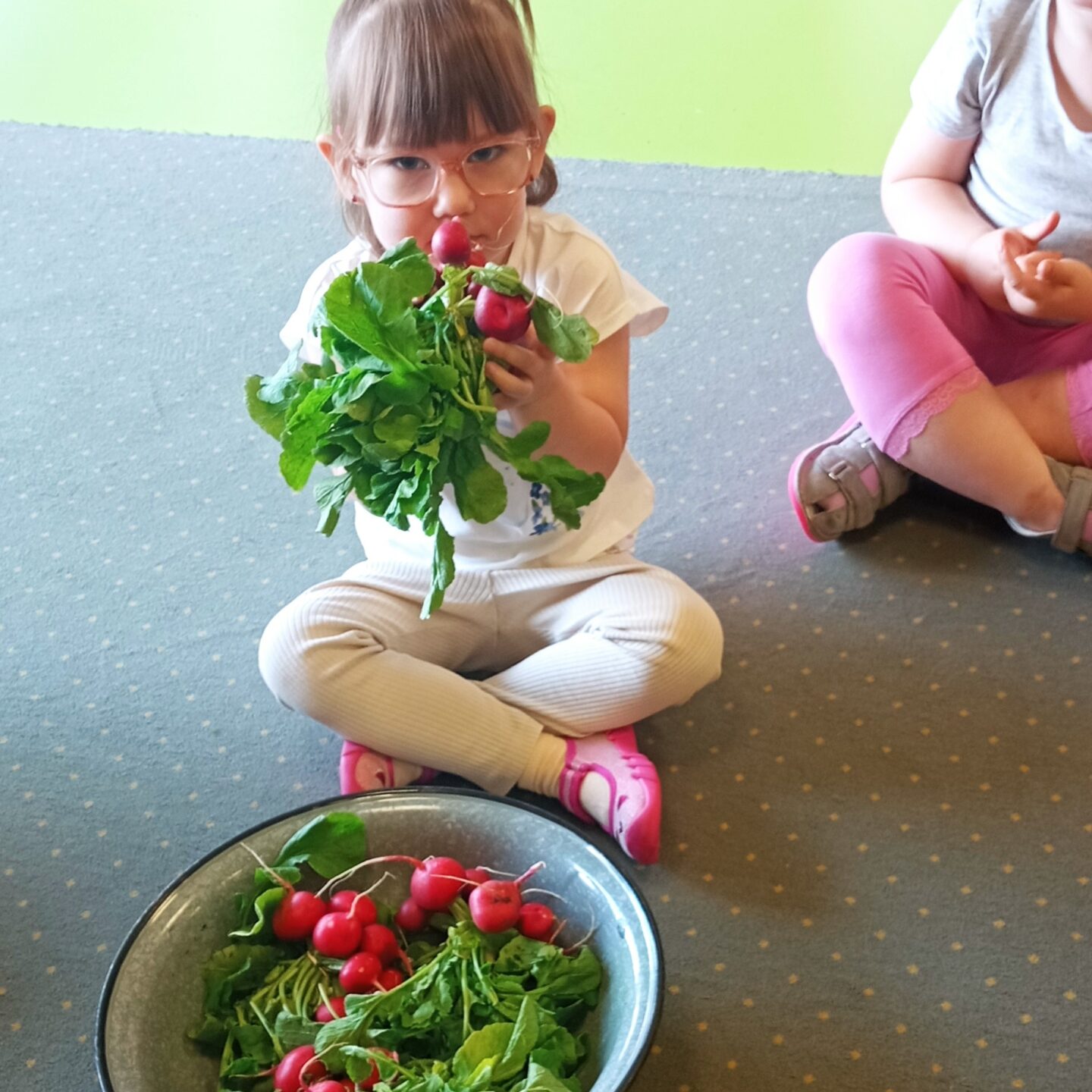 Projekt Edukacyjny „Witaminki”