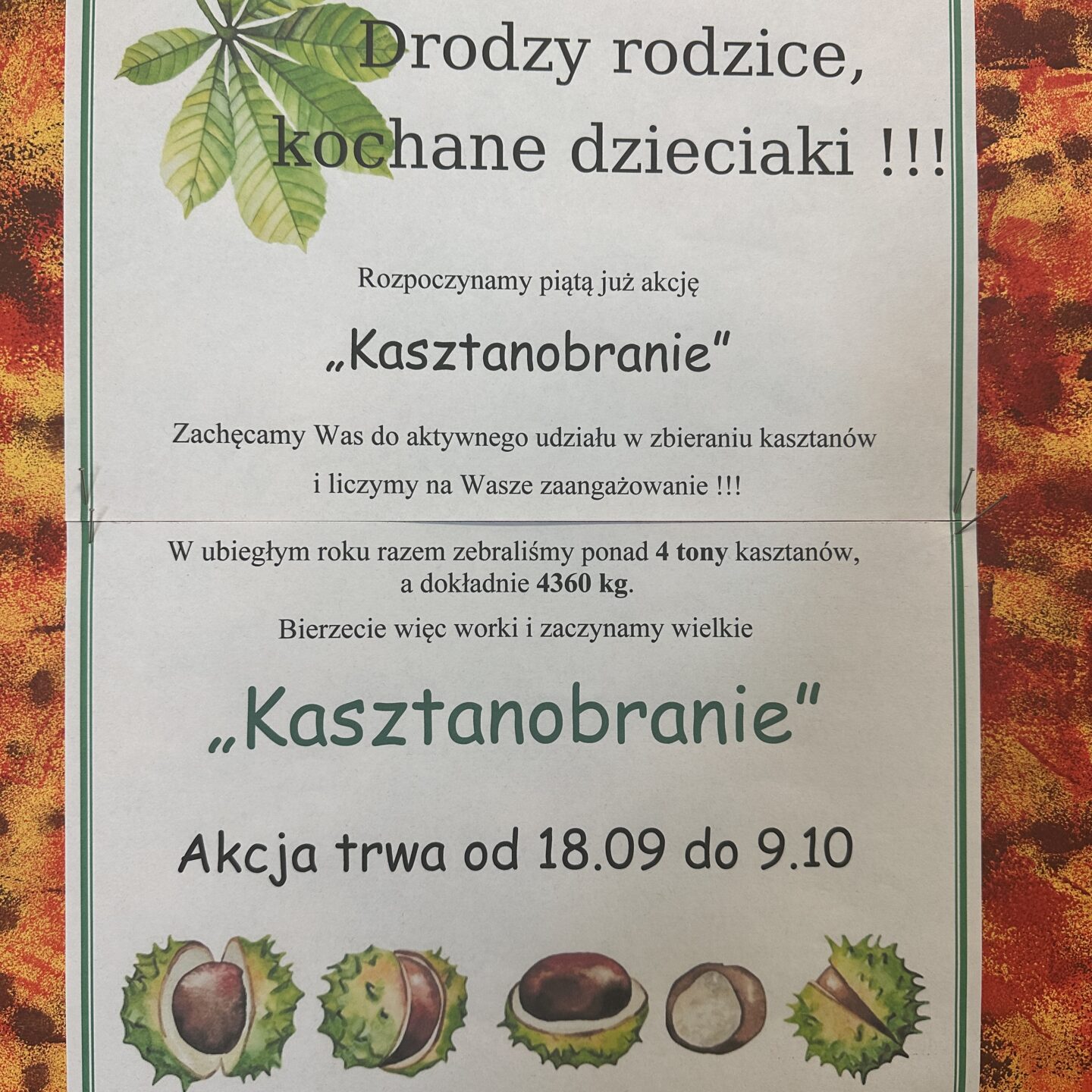 Akcja „Kasztanobranie”