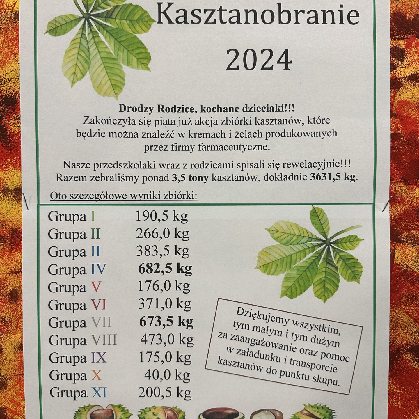 Podsumowanie akcji „Kasztanobranie 2024”