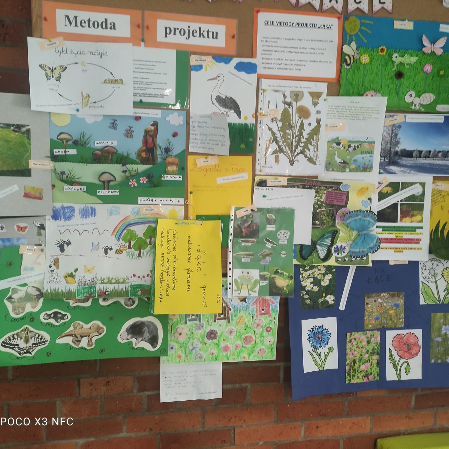 Metoda projektu „Łąka”